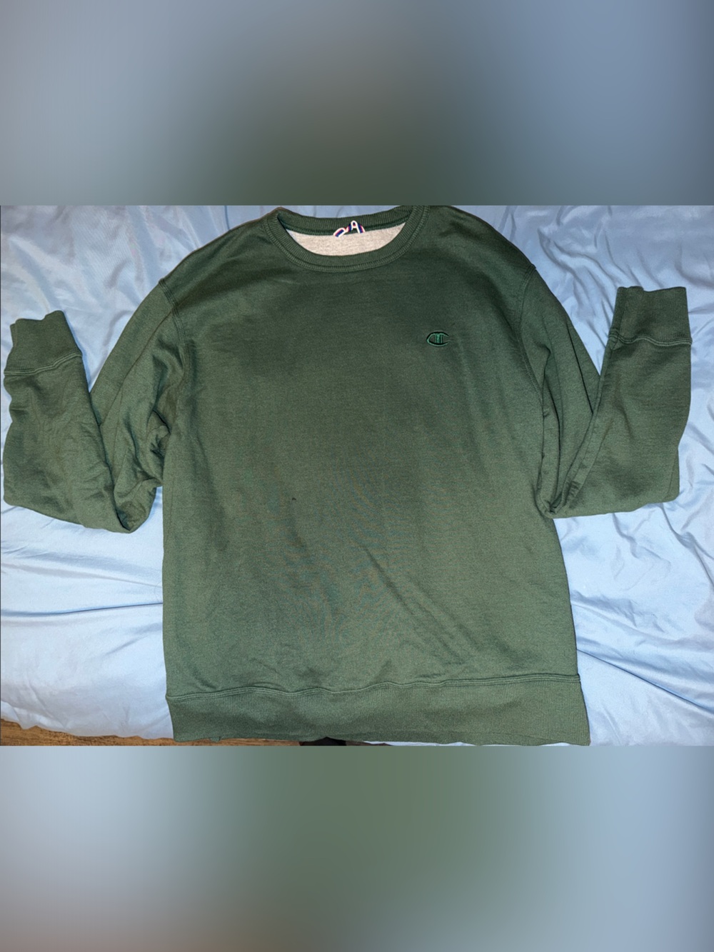 Men's Champion Crewneck Sweatshirt in Olive Green